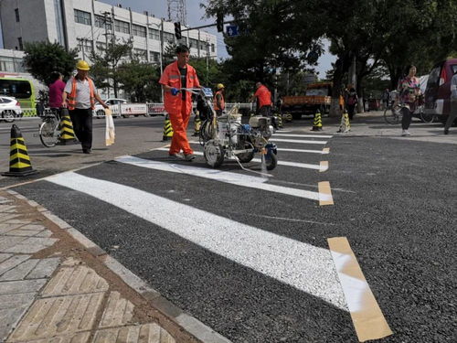 聚焦市政设施精细化管理 夯实文明城区基础