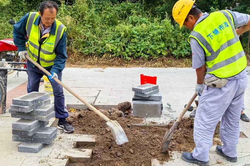 合肥长丰下塘镇 持续深化城市精细化管理，提升居民幸福感——聚焦市政设施管理新实践